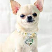 蘇家演的腰不是腰