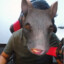 El kachero de ratamanche