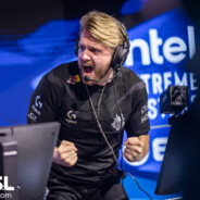 童话王国马枪手泥大🦐