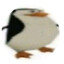 Ardiis