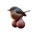 hairy bird balls