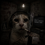 Cats4Stats