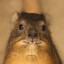 hey guys