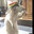 Rasta Remy