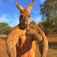 Мастурба FREEMONEY.NET - steam id 76561198994223699