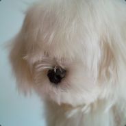 ∑(っ°Д°;)っ卧槽不见了！