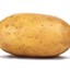 potato