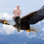 EaglE PutiN