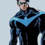 NIGHTWING