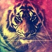 BVNDI - steam id 76561197971101104
