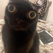 ♱💜𝓔𝓷𝓭𝓾💜♱