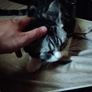 青我钢门会上影