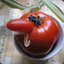 El Pomidoro