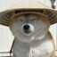 Asiandoge