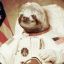 Sloth Aldrin