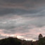 小郑同学