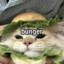 BUNGER