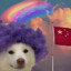 最完美的他