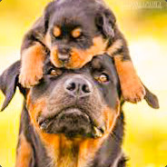 sebastian gametame.com