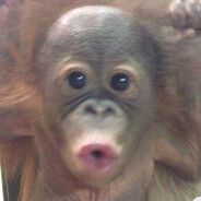 frescoz - steam id 76561199038368536