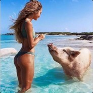 不靠近你怎么痛扁你