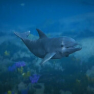 _Russian_Fediration_