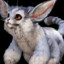 Ferox
