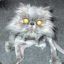 ugly_cat