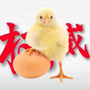 小鸡🐥🐥