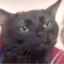 Avatar of player somersbyscam