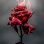 Fire_Rose