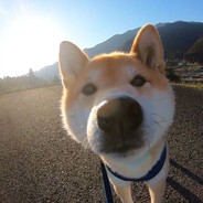 超级无敌大西瓜