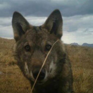 Беспроводной Душ