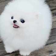 PYKAN V OGNE - DUSHA V YRNE