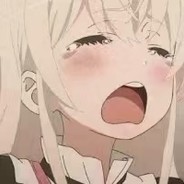 猫南北和禾几页