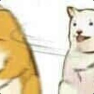 姜王博士（无法选中）