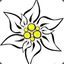 EdelweisS