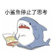 小鲨鱼停止了思考