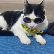 心中有信仰脚下有力量