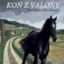KON Z VALONY