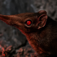 Evil Gamma avatar