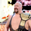 The Big Show