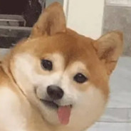 七佰块钱开盲盒