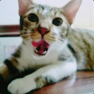 The Big BlackBear Is Killing!!!