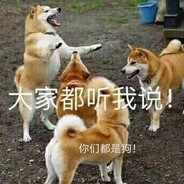 金色男神轰炸机