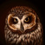 WaffleOwl