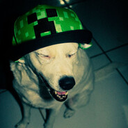 seteli avatar