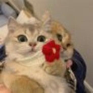 就请拿出我的心脏