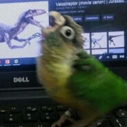 跳楼中途被鸽子屎击中