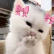 ⋆. 𐙚˚࿔ kiara 𝜗𝜚˚